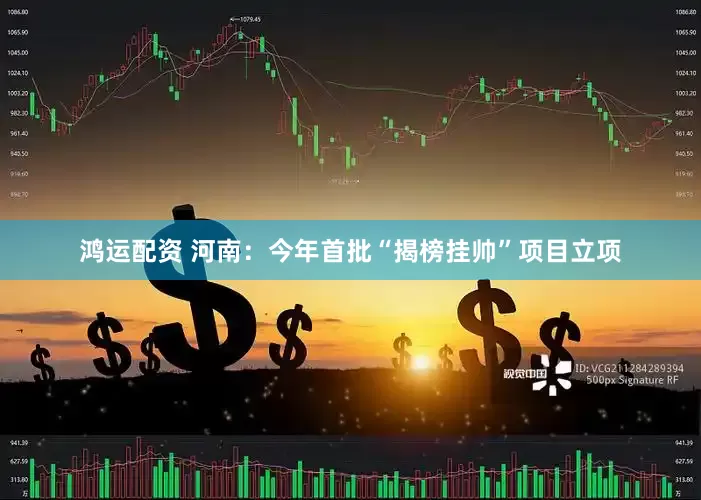 鸿运配资 河南：今年首批“揭榜挂帅”项目立项
