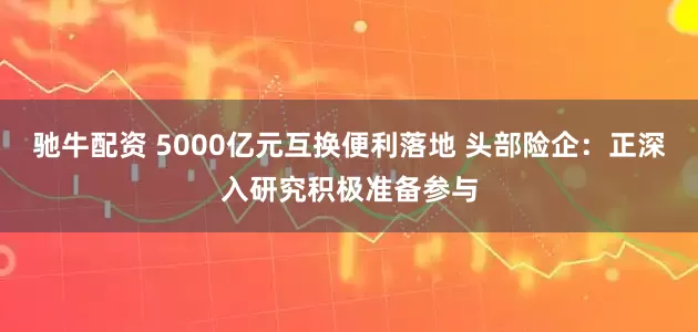 驰牛配资 5000亿元互换便利落地 头部险企：正深入研究积极准备参与