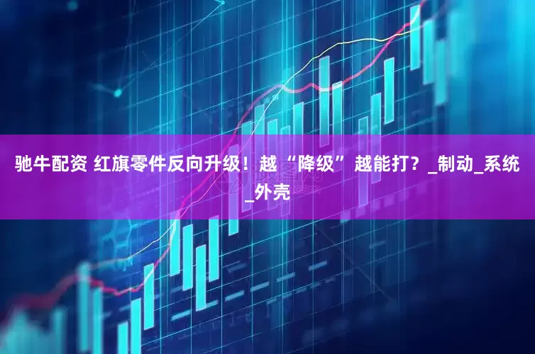 驰牛配资 红旗零件反向升级！越 “降级” 越能打？_制动_系统_外壳