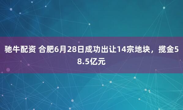 驰牛配资 合肥6月28日成功出让14宗地块，揽金58.5亿元