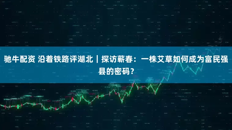 驰牛配资 沿着铁路评湖北｜探访蕲春：一株艾草如何成为富民强县的密码？